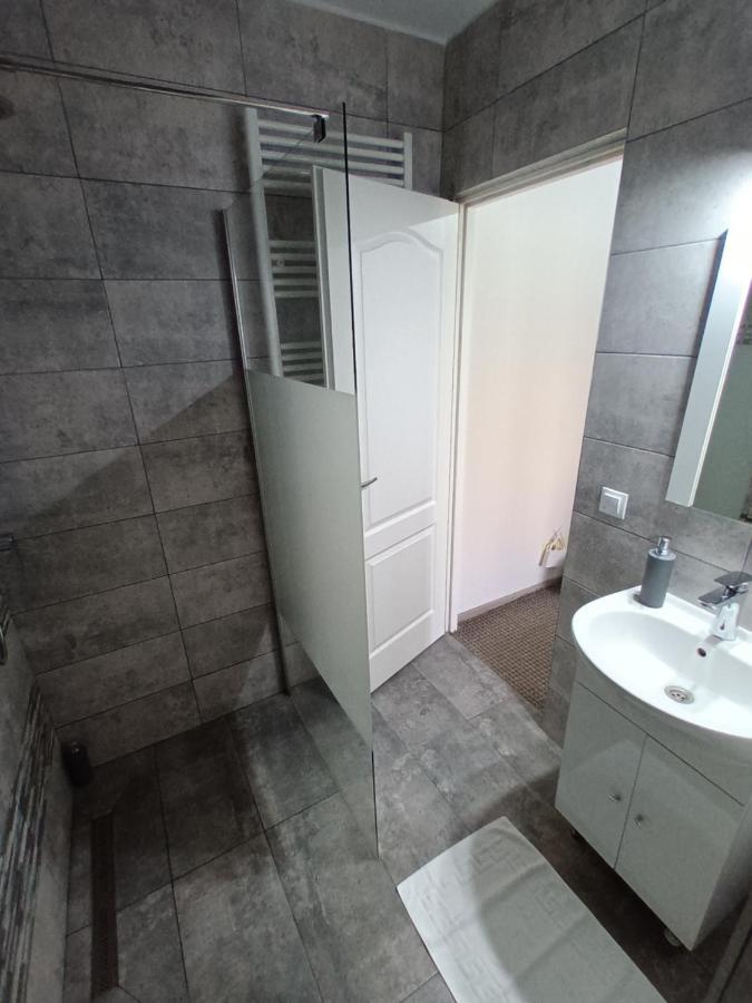Revolution Apartment Baia Mare Dış mekan fotoğraf
