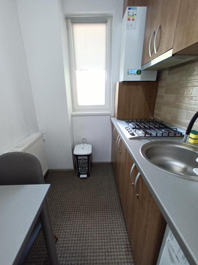 Revolution Apartment Baia Mare Dış mekan fotoğraf